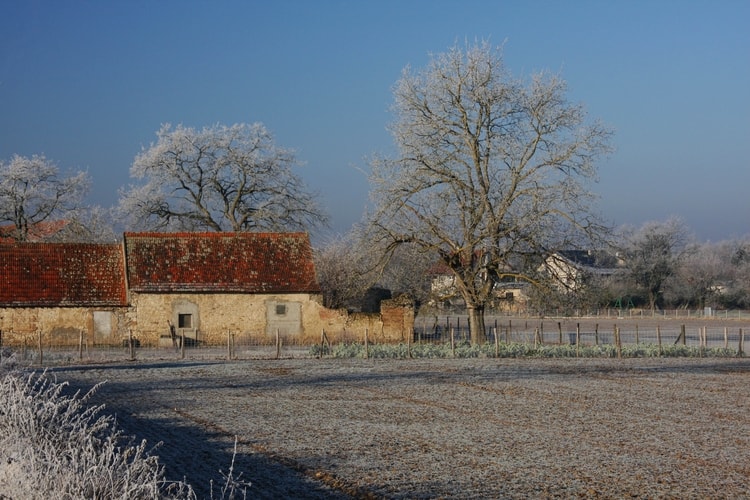 Loan aidé par la Région Auvergne